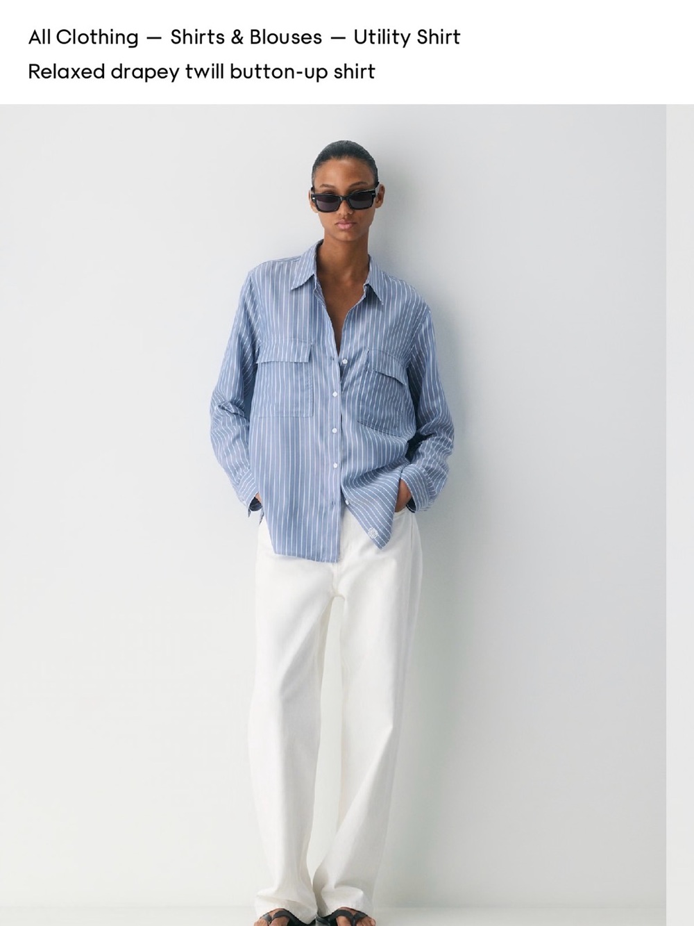 Aritzia Babaton Blue and White Striped Relaxed Twill Button-Down Shirt